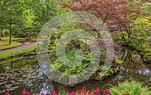 TraditionalÃÂ stone turtle, symbol of longevity, in Japanese garden in spring photo